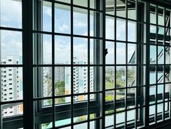 Blk 590B Montreal Dale (Sembawang), HDB 4 Rooms #534677061